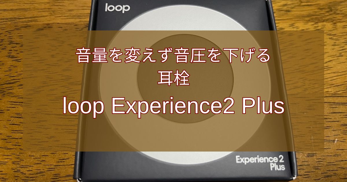 loop Experience2 Plus